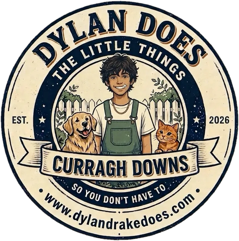 Dylan Does